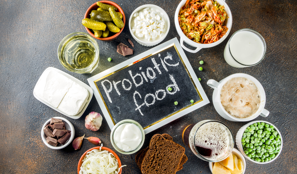 Aliments Riches en Probiotiques